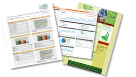 Local Business Web Design and Search Engine Marketing Solutions